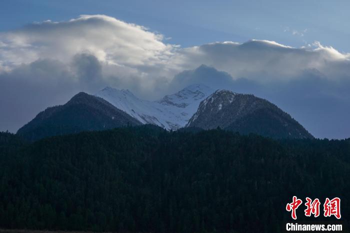 西藏波密县的原始森林与雪山风光。　江飞波 摄